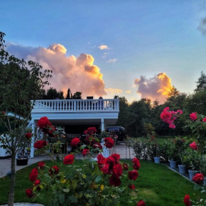 Boutique-Hotel Art Zone Ranch